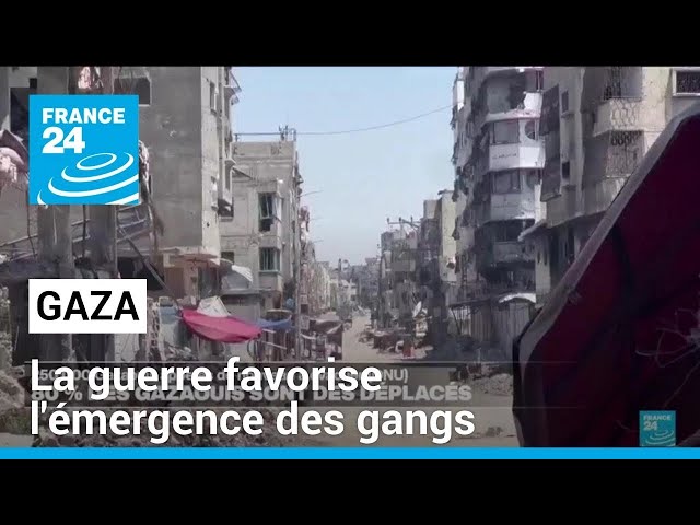 ⁣Gaza : la guerre favorise l'émergence des gangs, selon une enquête • FRANCE 24