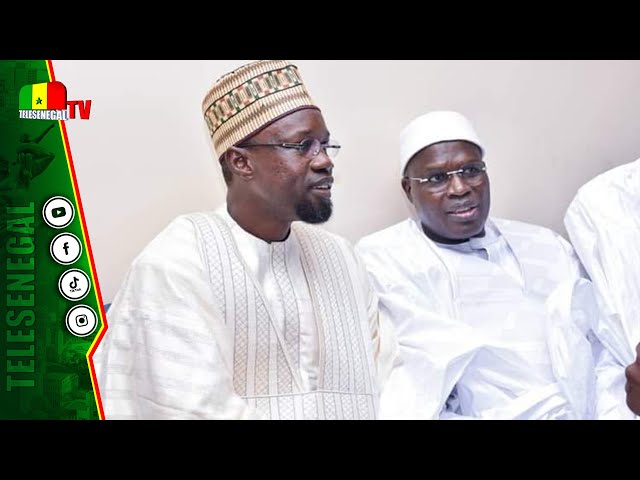 ⁣[LIVE] Khalifa et SONKO se parlent? l'opposition s'organise pour... Cheikh Gueye se pronon