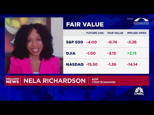 ⁣Payroll data shows 'concerning' concentrated job gains, says ADP's Nela Richardson