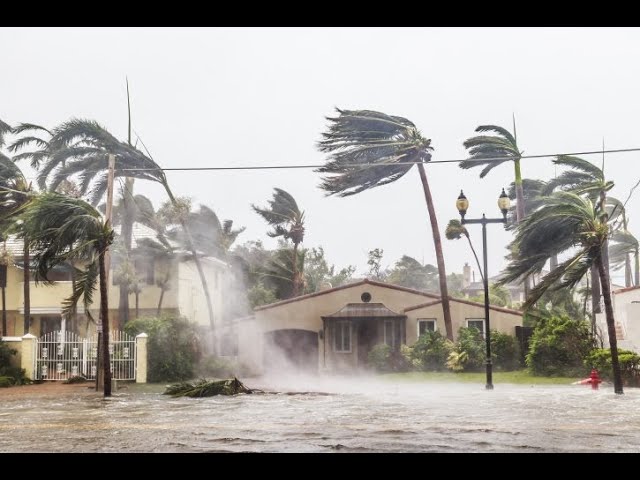 ⁣LIVE! Рекордний ураган  наближається до Ямайки Jamaica ahead of Hurricane Beryl
