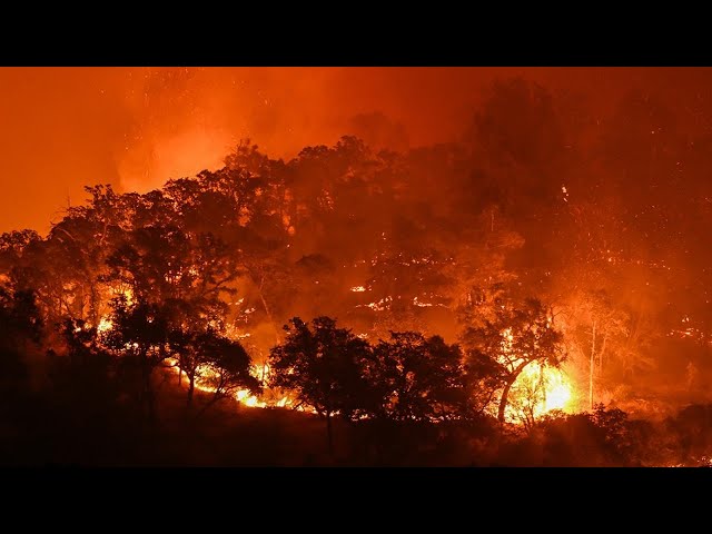 ⁣Wildfire near Sacramento, California, torches more than 2,000 acres