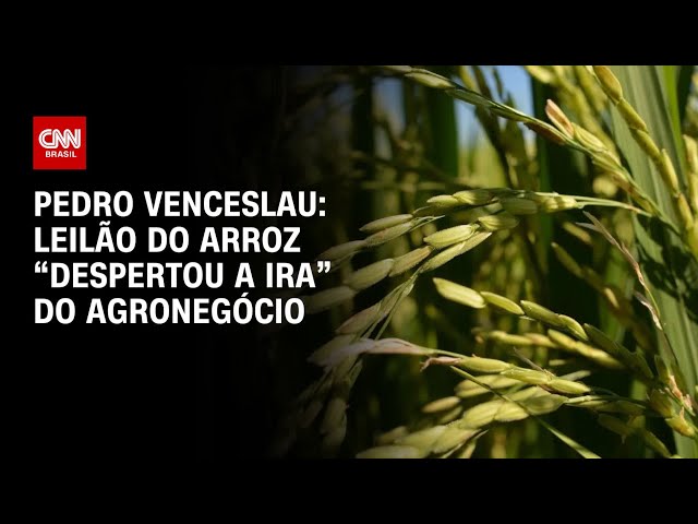 ⁣Pedro Venceslau: Leilão do arroz “despertou a ira” do agronegócio | BASTIDORES CNN