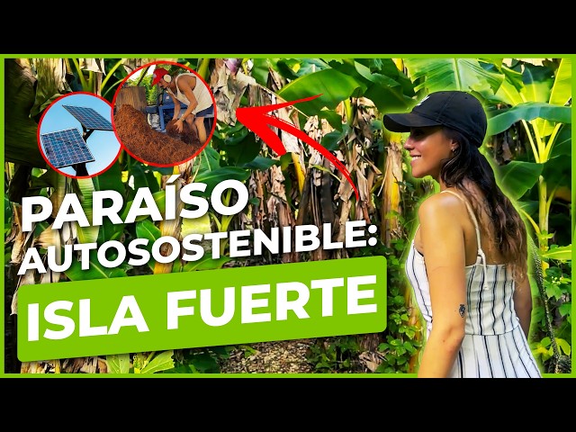 ⁣Hotel ecológico en Isla Fuerte: así es Ecohouse, un paraíso sostenible | Mochila Verde