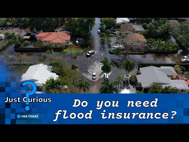 ⁣What does flood insurance cover? What to know to stay prepared | JUST CURIOUS