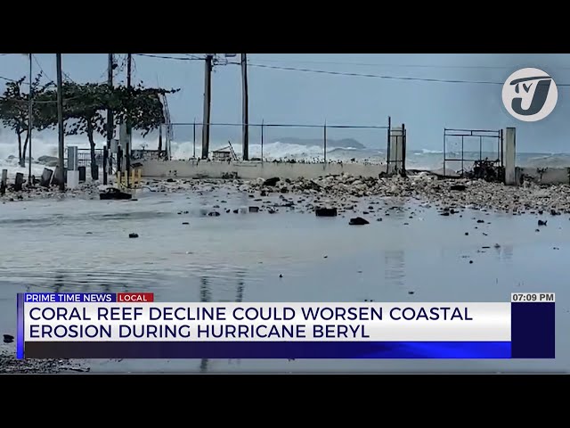 ⁣Coral Reef Decline could Worsen Coastal Erosion during Hurricane Beryl | TVJ NEws