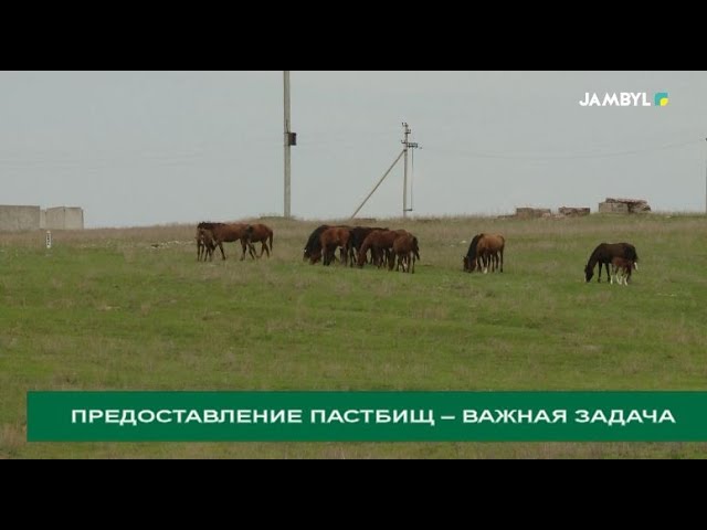 ⁣Предоставление пастбищ – важная задача