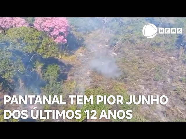 ⁣Presidente do Ibama comenta situação dos incêndios no Pantanal