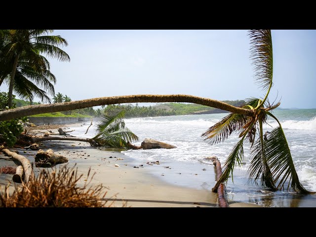 ⁣Hurricane Beryl expected to hit Jamaica after killing seven