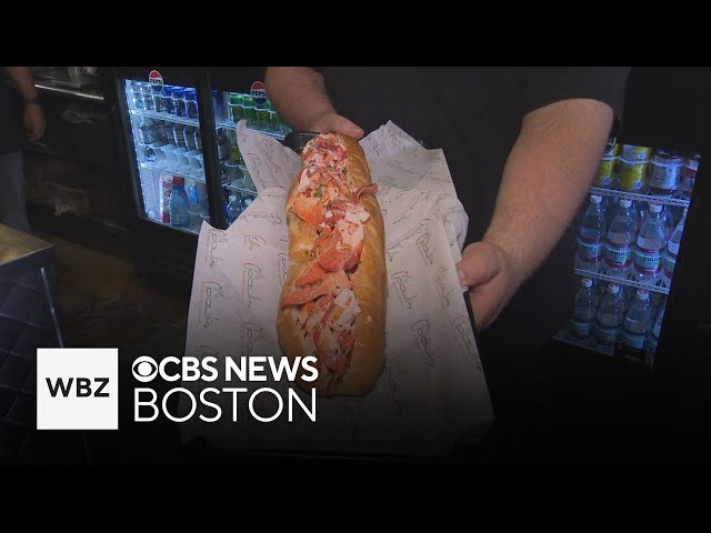 ⁣Boston sub shop sells massive lobster rolls for $11 for a limited time