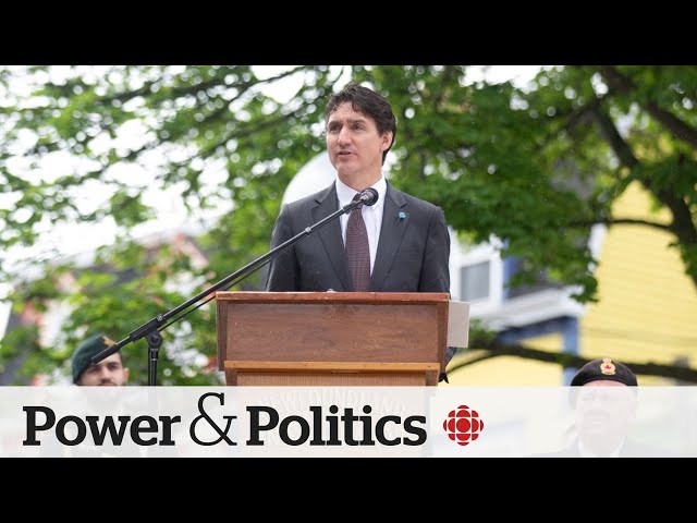 ⁣Can Justin Trudeau quell unrest in the Liberal caucus? | Power Panel