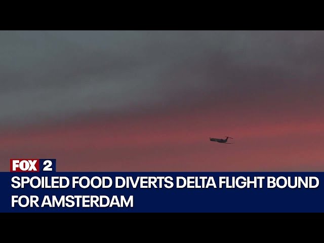⁣Spoiled food diverts Delta flight from Detroit