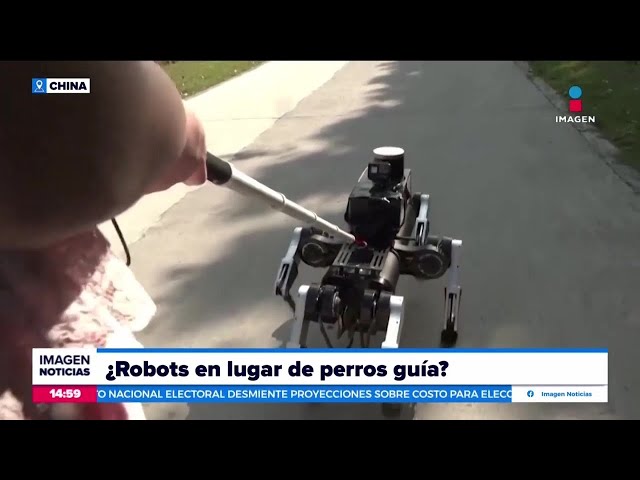 ⁣En China buscan remplazar a los perros guía por robots de seis patas | Noticias con Crystal Mendivil