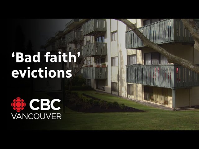 ⁣B.C. launches website to protect renters from ‘bad faith’ evictions
