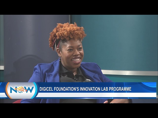 ⁣Digicel Foundation's Innovation Lab Programme