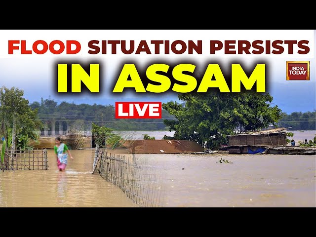 ⁣Assam Flood LIVE |  Assam Flood News LIVE | Assam Flood Remains Critical | India Today LIVE News