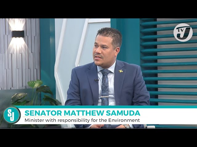 ⁣4th Phase of Plastic Ban with Senator Matthew Samuda | TVJ Smile Jamaica