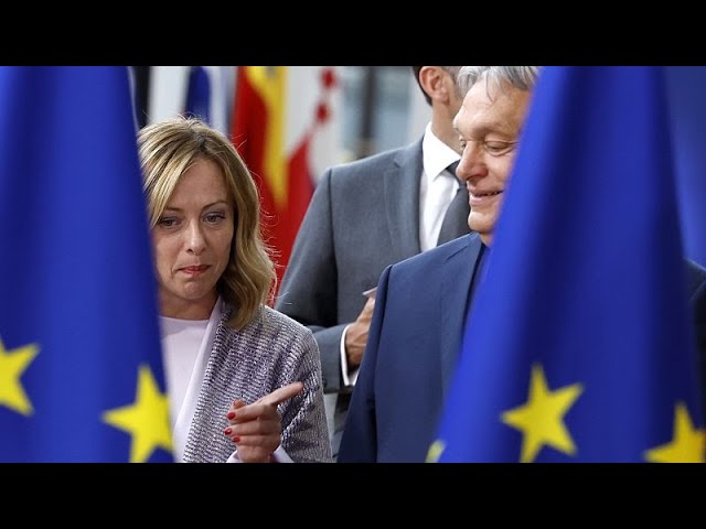 ⁣Europarlamento: El grupo de extrema derecha Identidad y Democracia podría desaparecer