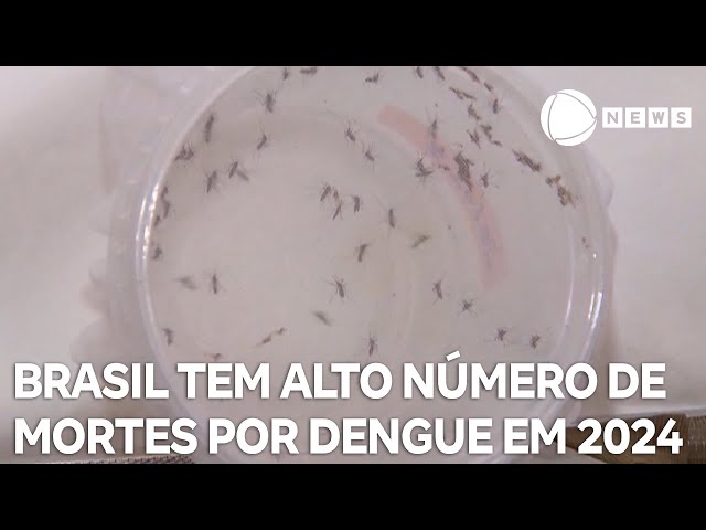 ⁣Brasil tem mais mortes por dengue em 6 meses do que em 7 anos somados