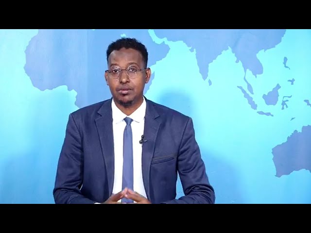 WARKA HABEEN EE SNTV 04.07.2024