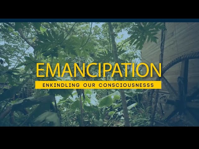 ⁣Emancipation Celebration Virtual Launch