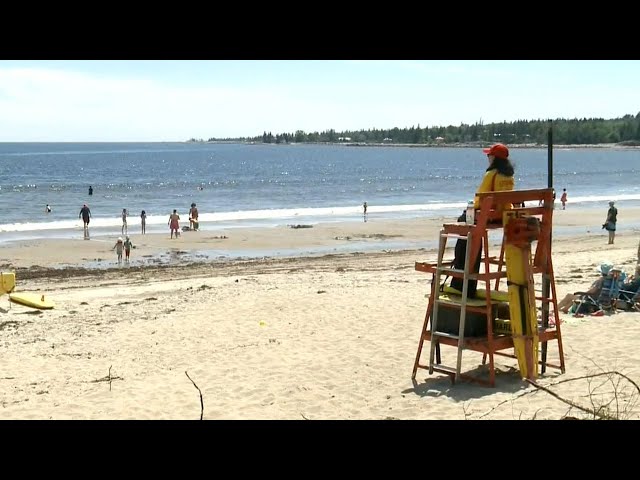 ⁣Possible shark sighting closes beach in Nova Scotia