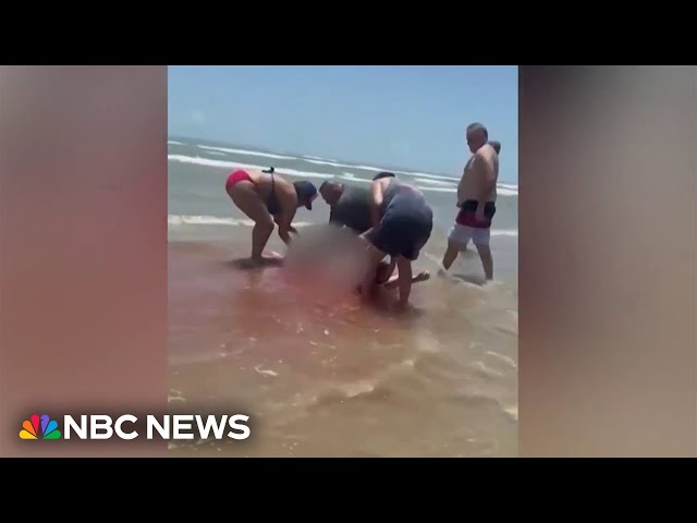 ⁣Shark attacks along Texas coast prompt Coast Guard warning