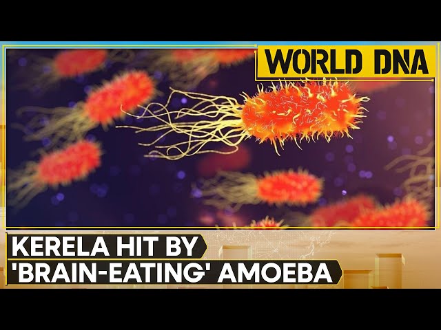 ⁣India: Brain-eating amoeba kills 3 in Kerala | WION World DNA