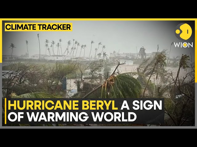 ⁣Does climate change affect hurricanes? | WION Climate Tracker