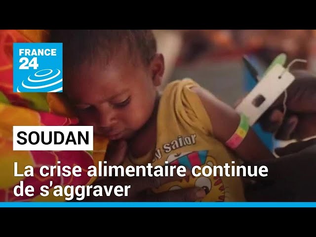 ⁣La crise alimentaire au Soudan continue de s'aggraver • FRANCE 24
