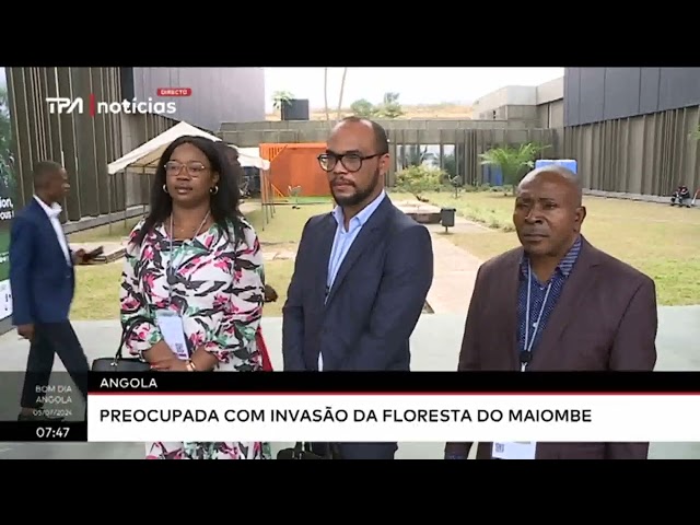 ⁣Angola - Preocupada com a invasão da floresta do Maiombe