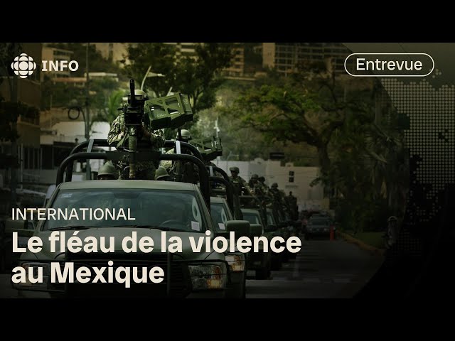 ⁣Violence au Mexique : rencontre avec candidate visée par une tentative d'assassinat