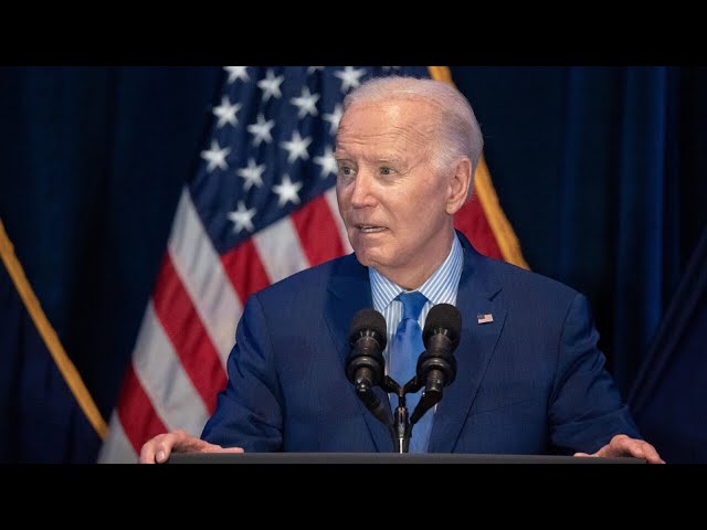 ⁣Democrat strategists ‘holding their breath’ with failure of Joe Biden