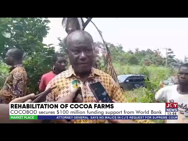 ⁣Rehabilitation of Cocoa Farms: COCOBOD secures $100m funding support from World Bank | Market Place