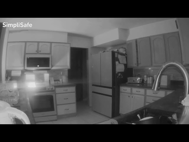 ⁣WATCH: Curious pup starts house fire after turning on stove