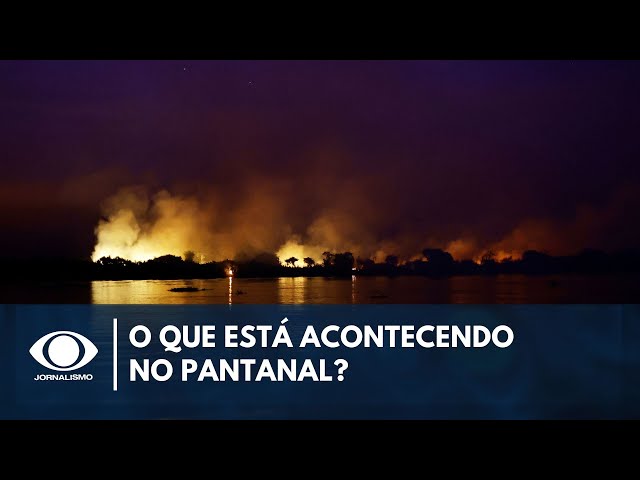 ⁣Entenda o que está acontecendo no Pantanal | Live