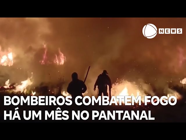 ⁣Bombeiros combatem incêndios no Pantanal há um mês