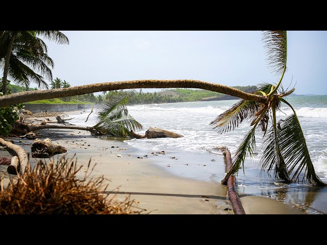 ⁣HURRICANE BERYL | Storm system left "armageddon like" damage: Grenada's PM