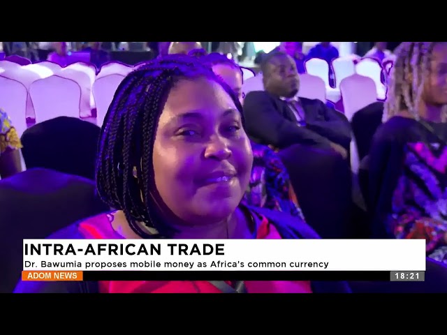 ⁣Inter-Africa Trade: Dr. Bawumia proposes mobile money as Africa's common currency - Adom TV New