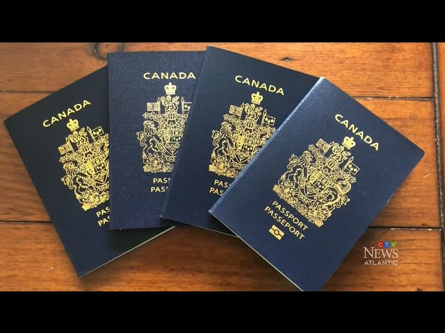 ⁣N.B. couple "stuck" after being denied travel over damaged passport