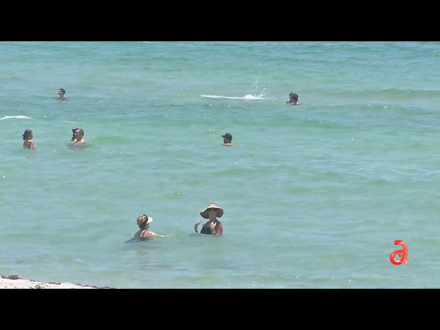 ⁣Tres playas de Miami-Dade bajo aviso por presencia de bacteria fecal