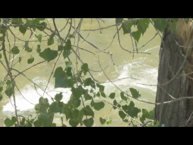⁣Aurora man drowns in South Platte River