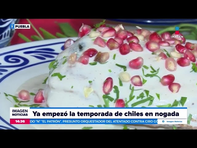 ⁣Llega la temporada de chiles en nogada a Puebla | Noticias con Crystal Mendivil