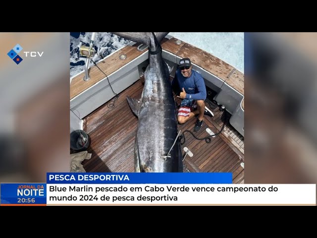 ⁣Blue Marlin pescado em Cabo verde vence campeonato do mundo 2024 de pesca desportiva