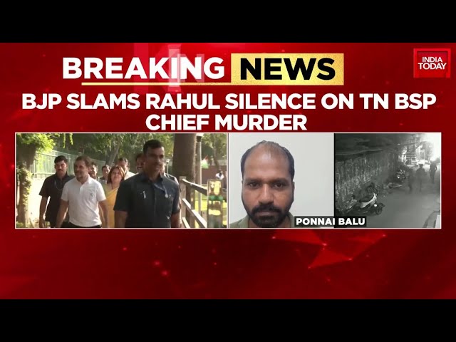 ⁣BJP Slams  Rahul Silence On TN BSP Chief Murder | BJP Says Rahul Gandhi’s Radio  Silence