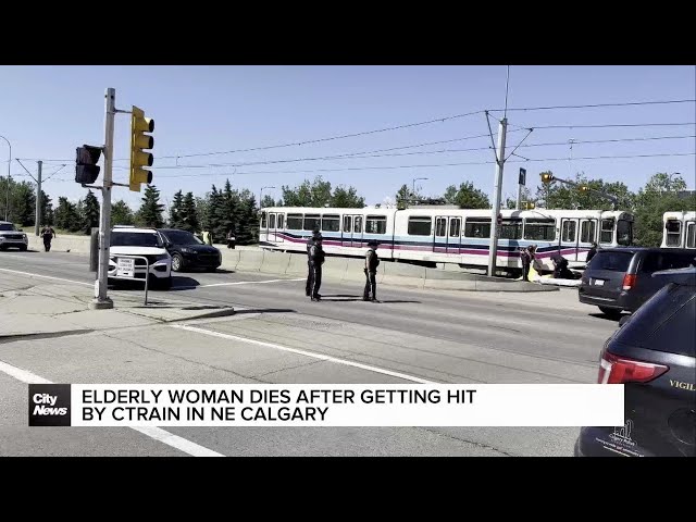 ⁣Woman dead after being hit by CTrain in NE Calgary