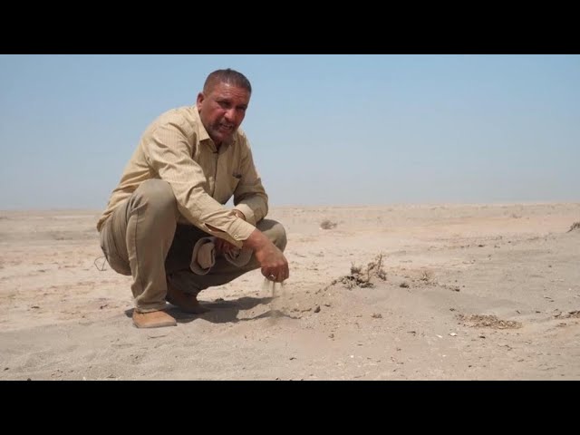 ⁣En Irak, le désert avance et les tempêtes de sable menacent la population • FRANCE 24