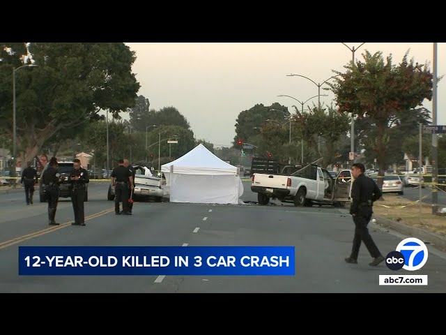 ⁣12-year-old girl killed, 9 others hurt in South LA car crash