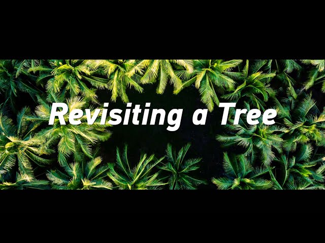 ⁣Greening The Blue: Revisiting a tree