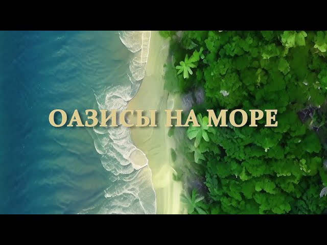 ⁣Анонс документального фильма «Оазисы на море»