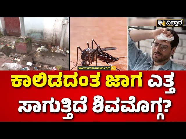 ⁣Dengue Fever In Karnataka | Shivamogga | ಡೆಂಘೀ ಅಬ್ಬರಿಸುತ್ತಿದ್ದರೂ ಶಿವಮೊಗ್ಗದಲ್ಲಿ ಇಲ್ಲ ಸ್ವಚ್ಛತೆ